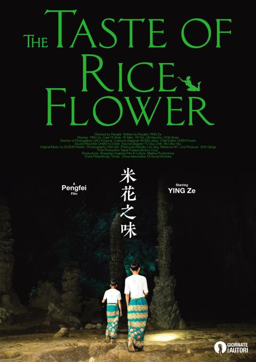 高中毕业证没了可以作假吗
